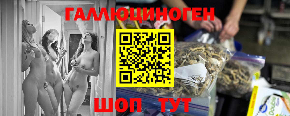 Псилоцибиновые грибы Psilocybe  Вход с VPN  Учалы 